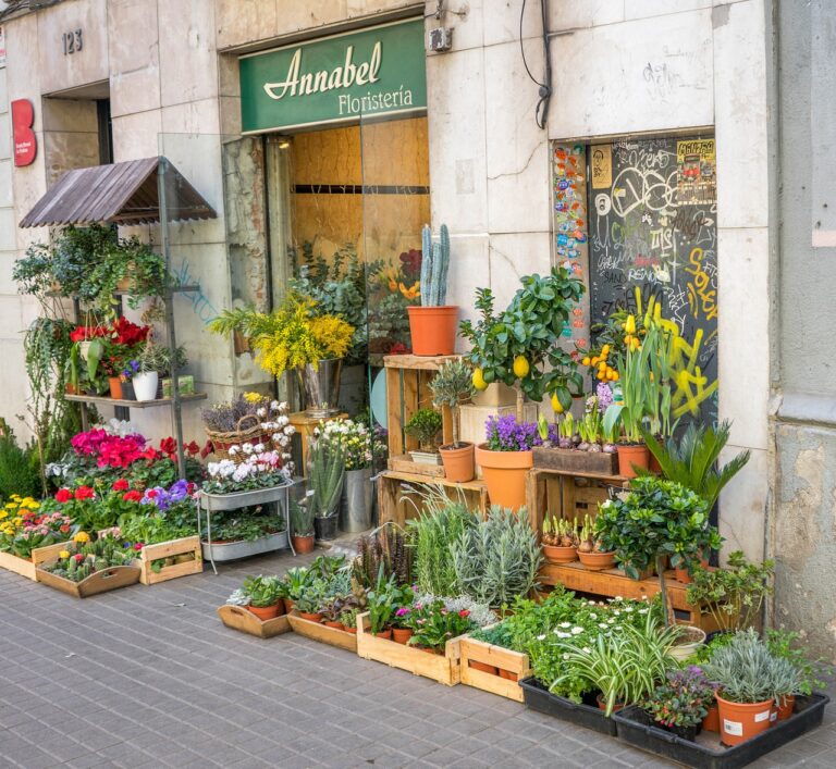 Top Retail Design Trends to Watch in 2024