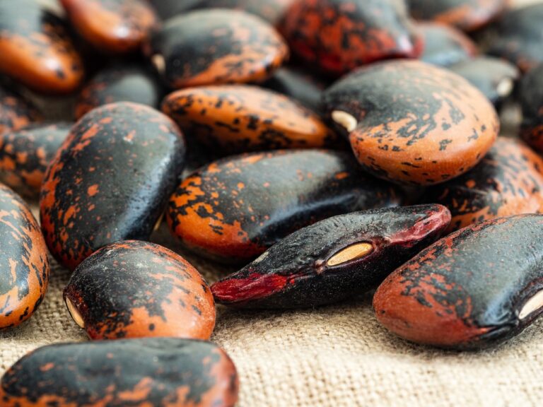 Exploring the Gut Microbiome: Key to Digestive Health