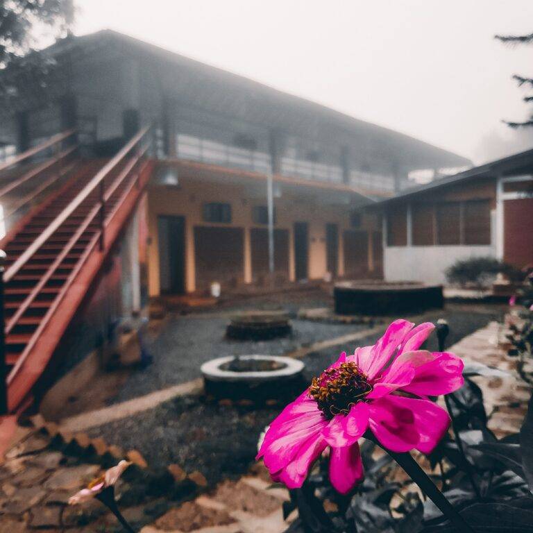 Analyzing the Impact of Immigration Enforcement on Voter Opinion