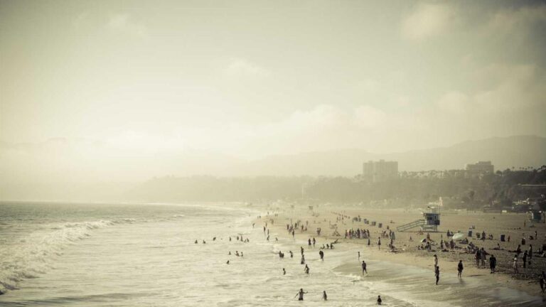 What Is The Format For A 99 Exch Login Password?