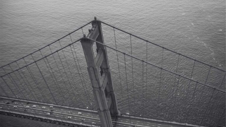 How To Download Cricbet99 Win Apk Safely?